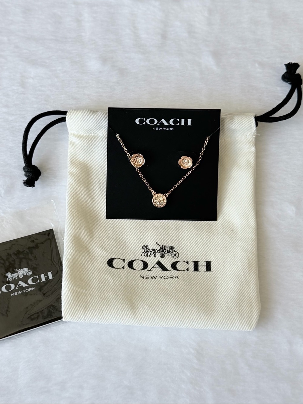 ✨NWT - Coach Rose Gold Crystal Pendant Necklace and Earrings